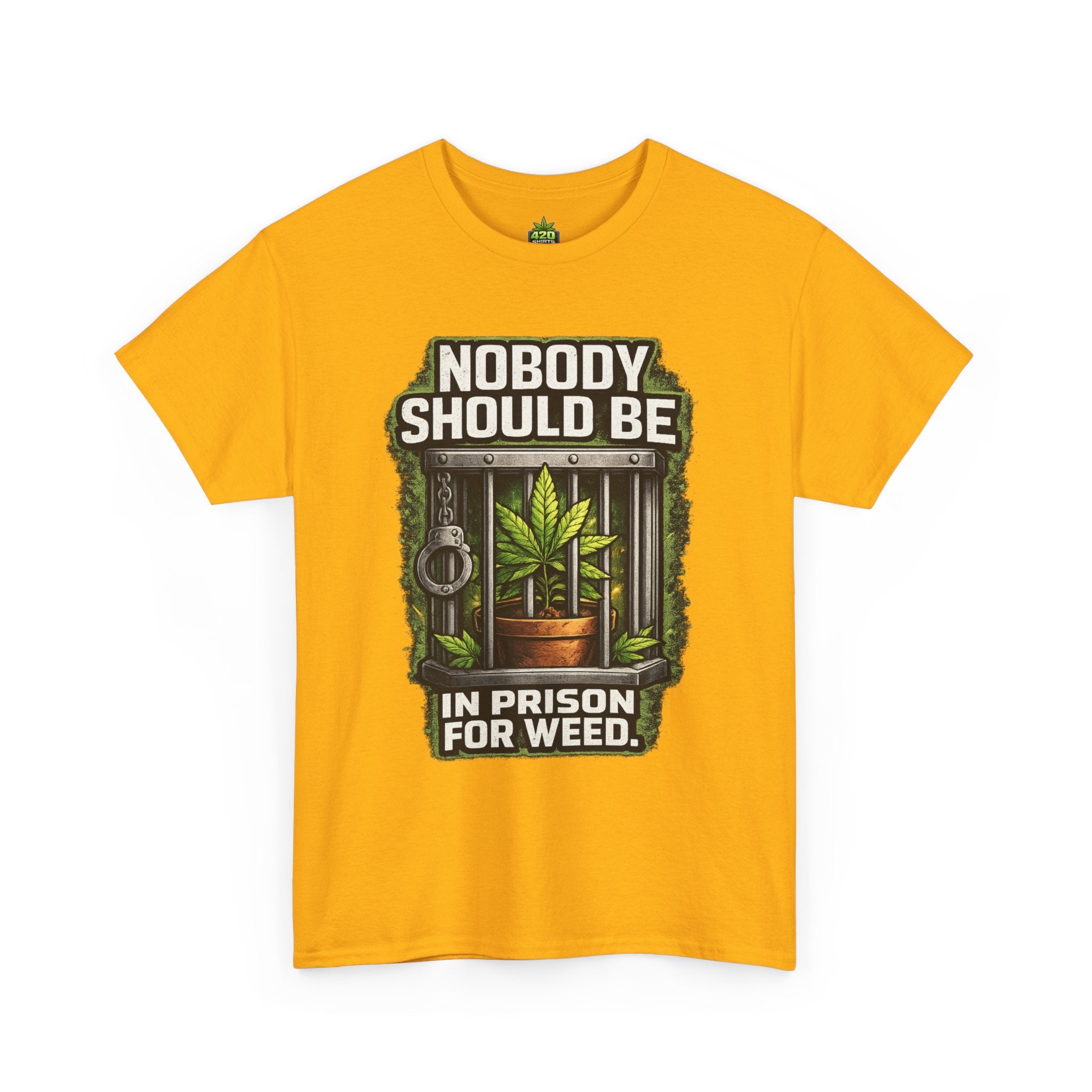 Nobody Should Be In Prison For Weed T-Shirt