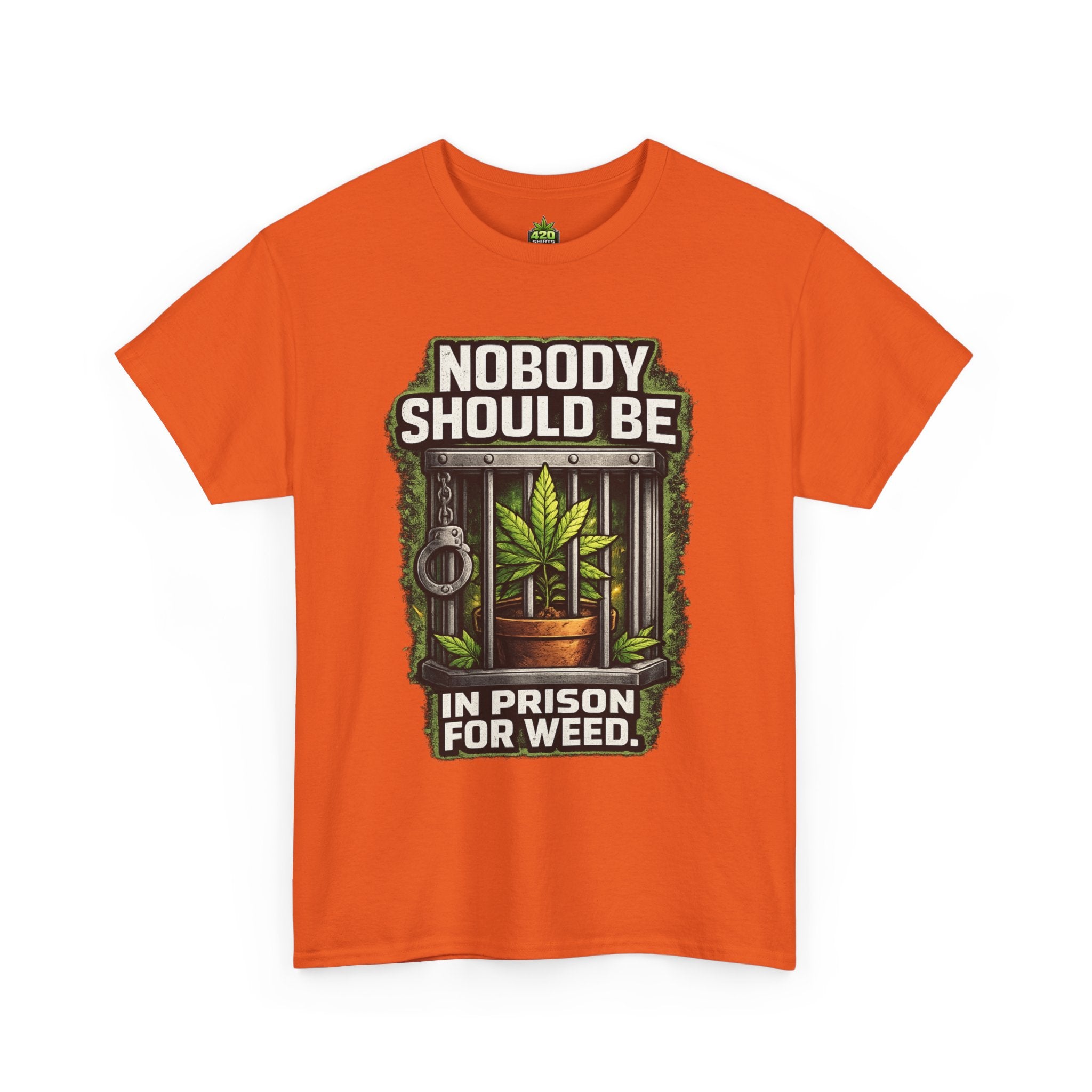 Nobody Should Be In Prison For Weed T-Shirt